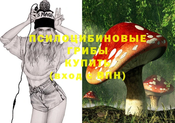 амф Белокуриха