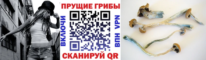 Псилоцибиновые грибы мухоморы  Минусинск 