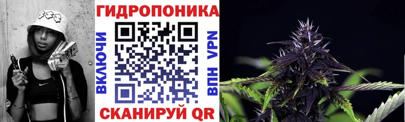 Бошки Шишки SATIVA & INDICA Минусинск